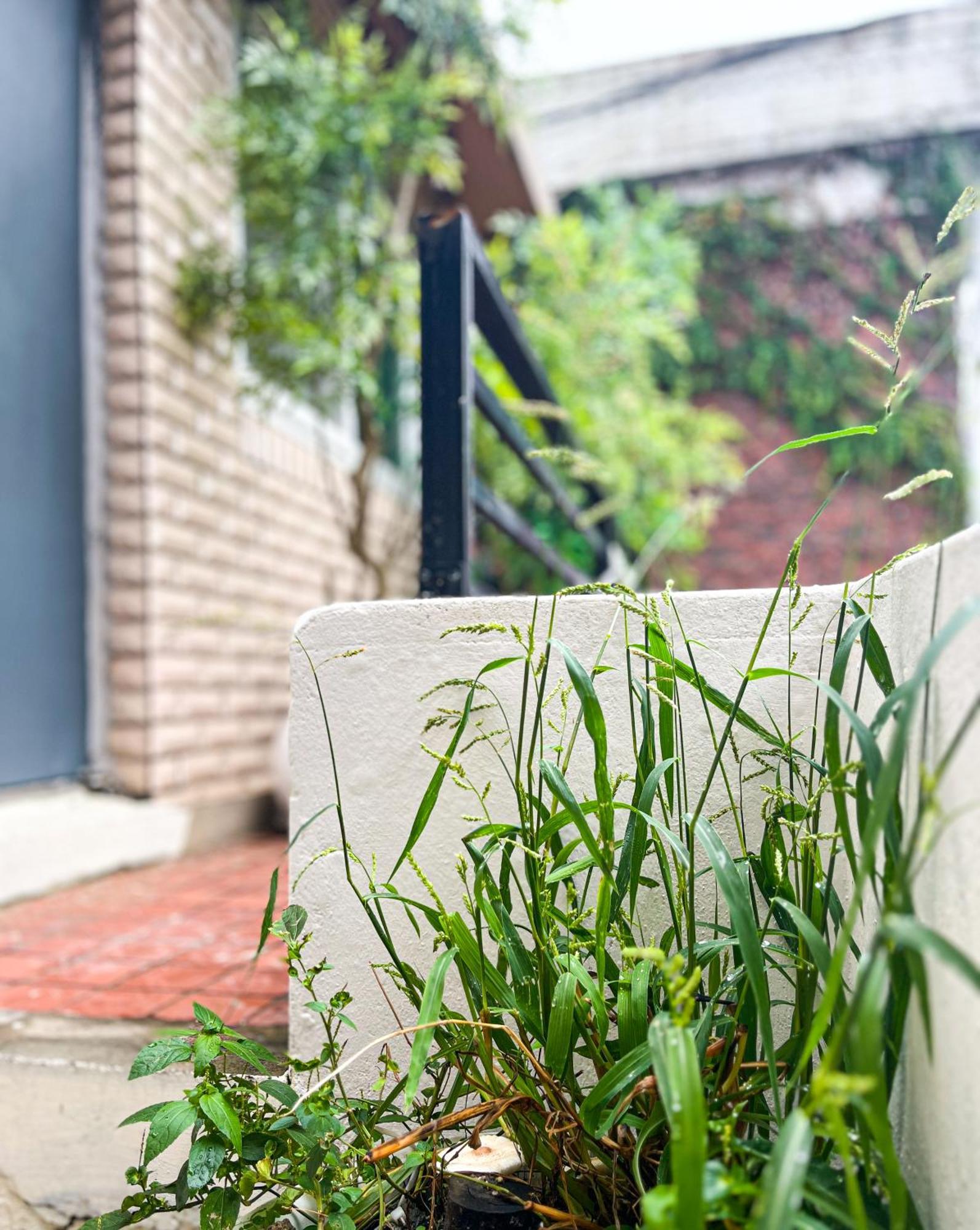 Seoulite Seul Exterior foto